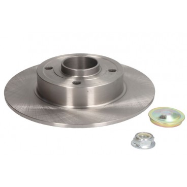 Brake disk with bearing