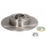 Brake disk with bearing