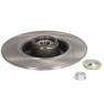 Brake disk with bearing