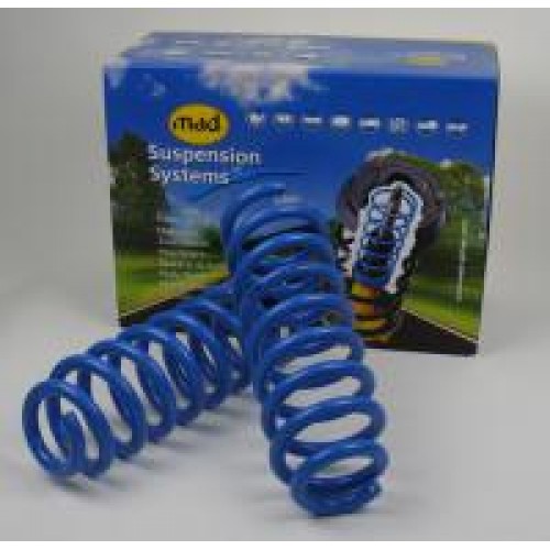 Heavy-load spring