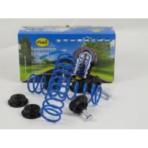Heavy-load spring