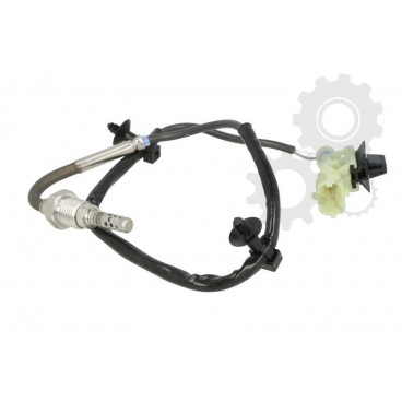 Senzor temperatura evacuare