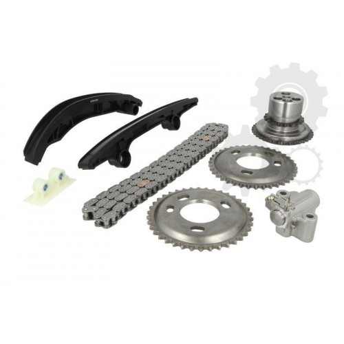 Kit distributie (lant+intinzator)