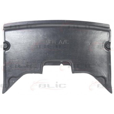 Scut motor/cutie viteze