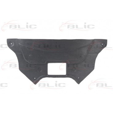 Scut motor/cutie viteze