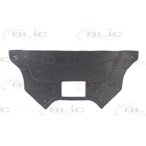 Scut motor/cutie viteze