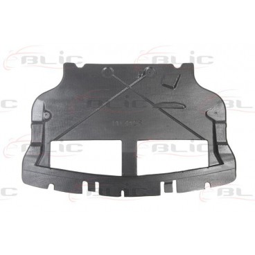 Scut motor/cutie viteze