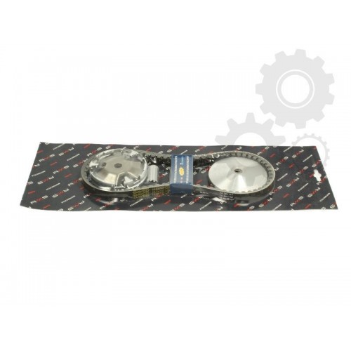 Variator