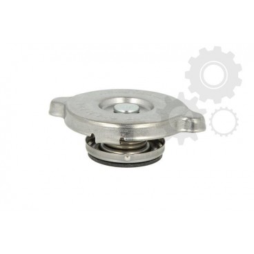 Capac vas expansiune