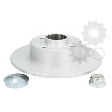 Brake disk with bearing