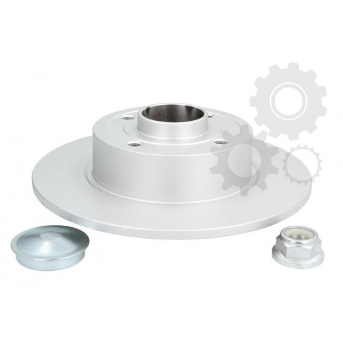 Brake disk with bearing