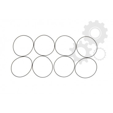 Set garnituri cilindru