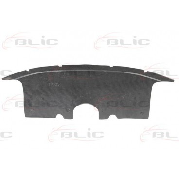 Scut motor/cutie viteze