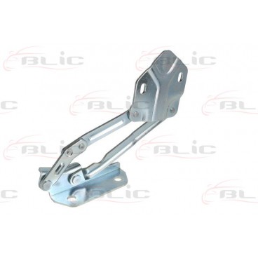 Elemente capota motor