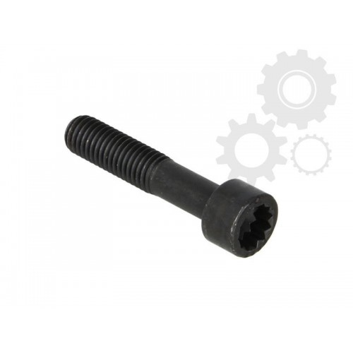 Bolt articulatie cardanica