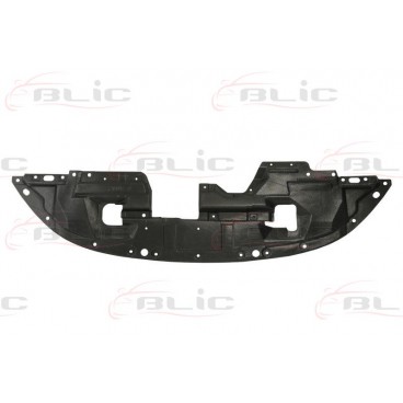 Scut motor/cutie viteze