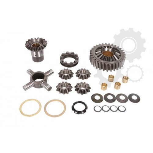 Kit reparatie axa spate