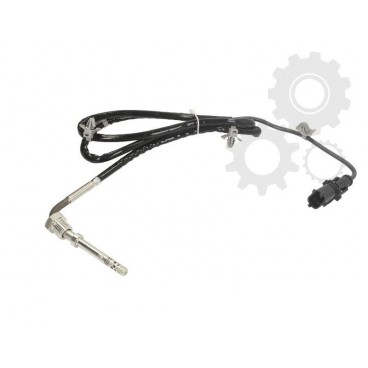 Senzor temperatura evacuare