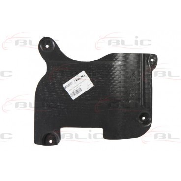 Scut motor/cutie viteze