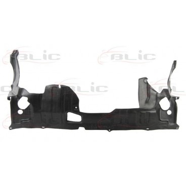 Scut motor/cutie viteze