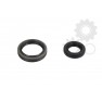Crankshaft oil seals