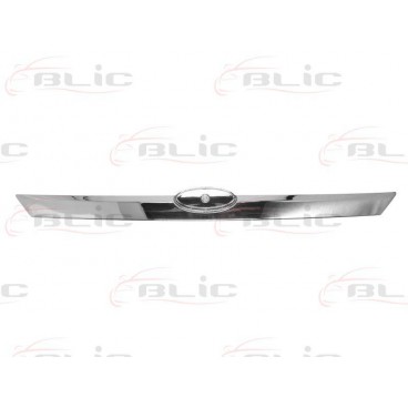 Capota portbagaj/elemente usa spate