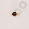 Pinion planetar diferential
