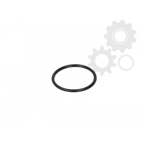 Inel etansare sistem franare pneumatic