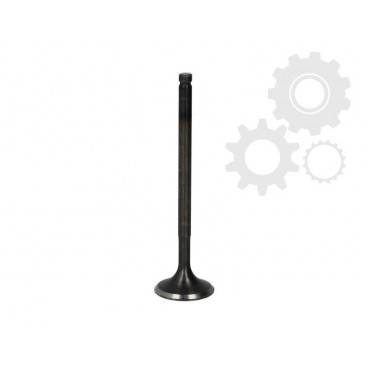 Supape/pastile reglaj