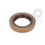 Garnitura diferential