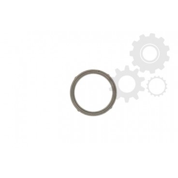 Garnitura supapa EGR