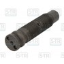 Leaf spring bolt