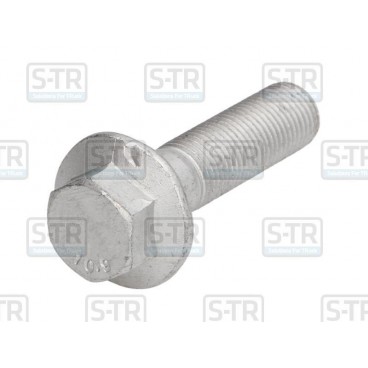 Raw Hex bolts