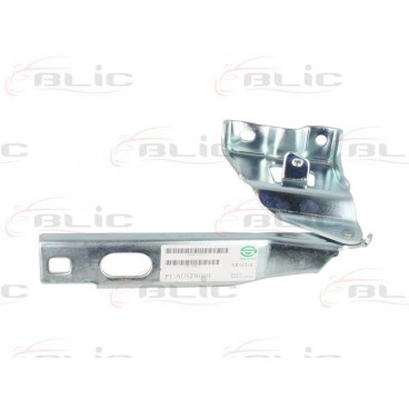 Elemente capota motor