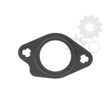 Garnitura supapa EGR