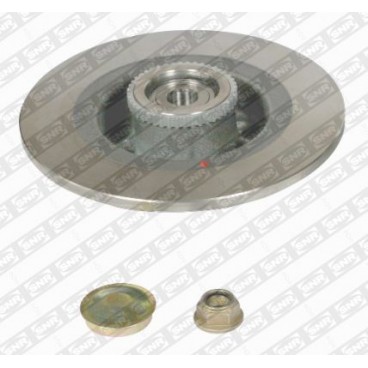Brake disk with bearing