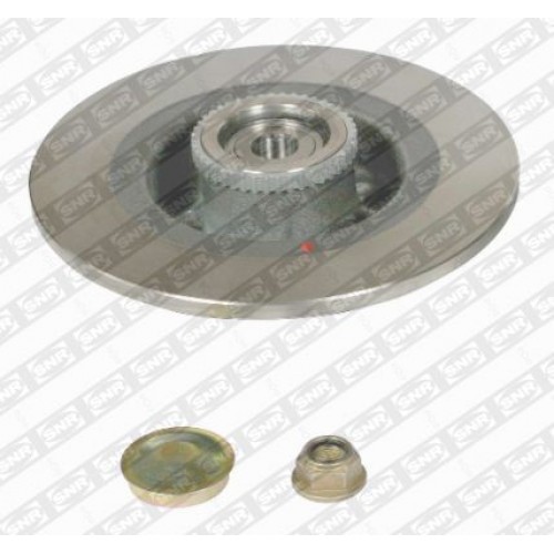 Brake disk with bearing