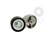 Intinzator curea