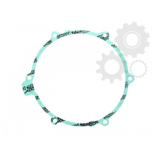 Garnitura alternator