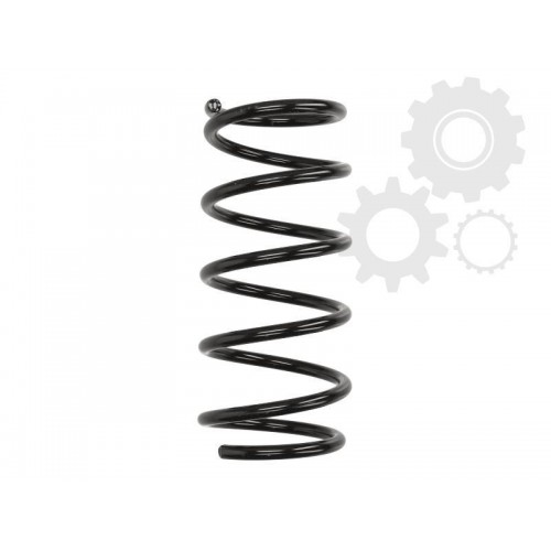 Arc suspensie axa spate TERIUS