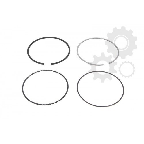 Segmenti piston