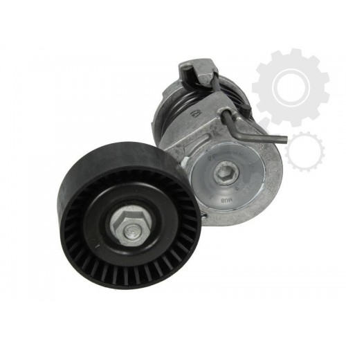 Intinzator curea