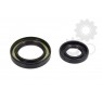 Crankshaft oil seals