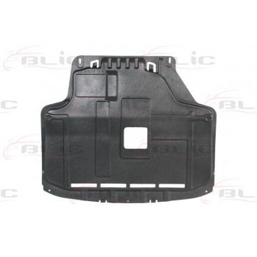 Scut motor/cutie viteze