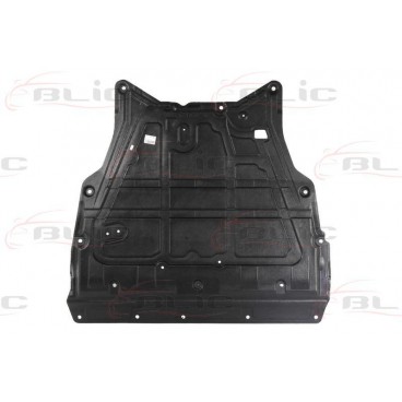 Scut motor/cutie viteze