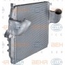 Radiator aer