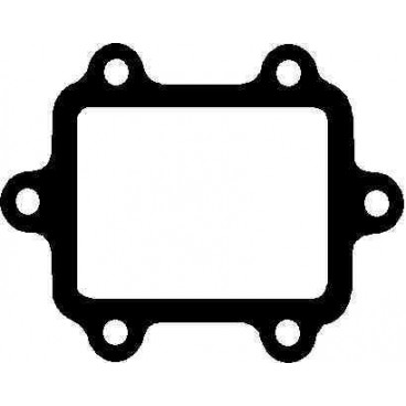 Garnitura supapa EGR