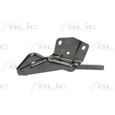 Elemente capota motor