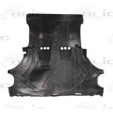 Scut motor/cutie viteze