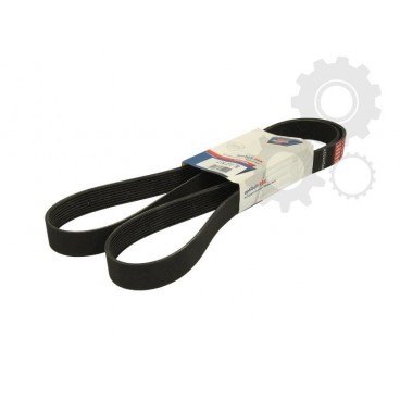 Curea transmisie canelata
